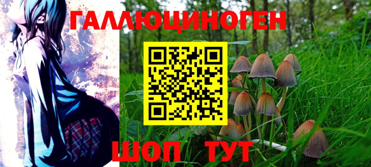Псилоцибиновые грибы Psilocybe  Псилоцибиновые грибы Psilocybine cubensis  Вязники  Вход с VPN 
